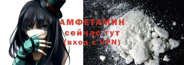 молекула духа Грязовец