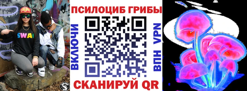 Купить закладки  Верещагино  Псилоцибиновые грибы Psilocybine cubensis 